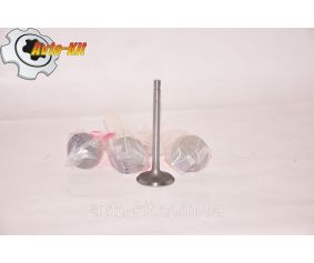 Клапан впускной FAW 1051 ФАВ 1051 (3,17)
