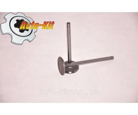 Клапан выпускной Jac 1020 (Джак 1020)