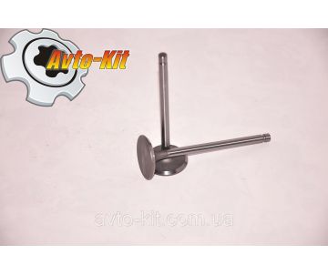 Клапан выпускной Jac 1020 (Джак 1020)