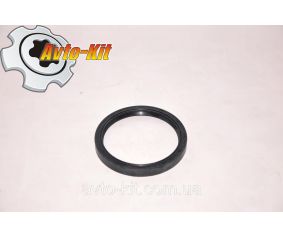 Манжета ступицы задней внутренняя Jac 1020 (Джак 1020) (100х120х13)