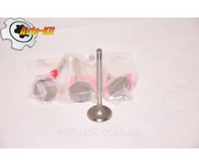 Клапан выпускной FAW 1051 ФАВ 1051 (3,17)