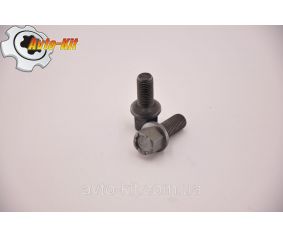 Болт колесный Chery Amulet